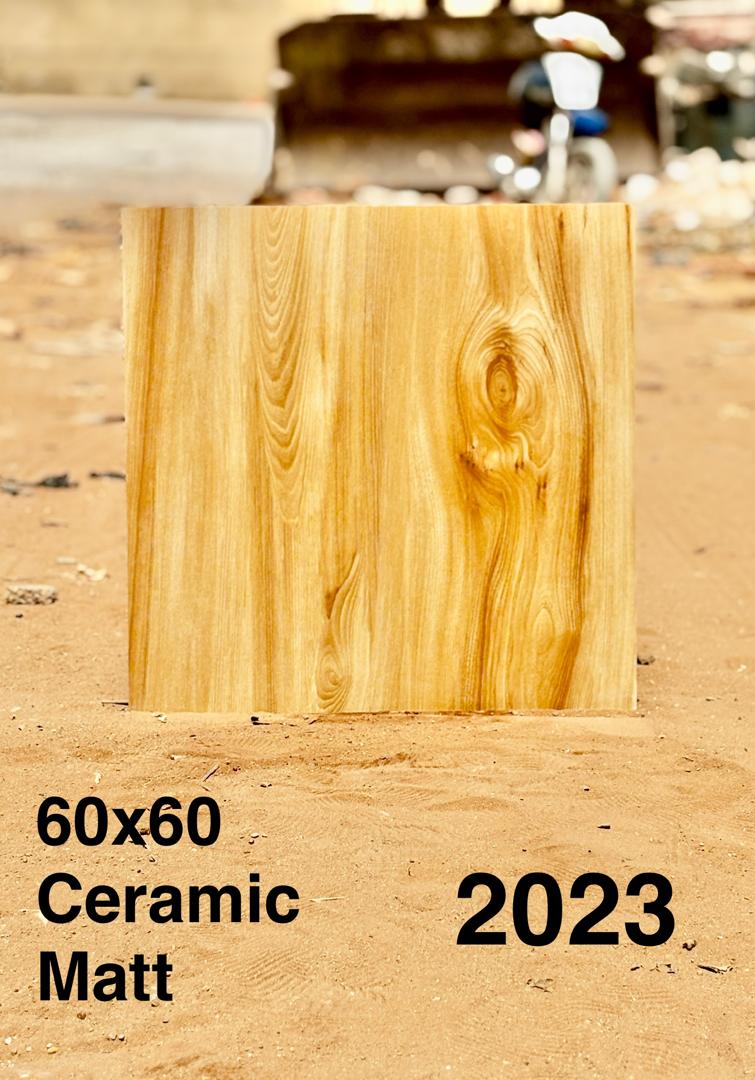carreaux de sol en porcelaine et en céramique matt Qualité indiennes 2023 60 x 60
